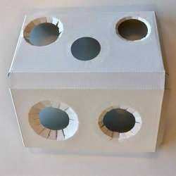 Gavekarton til 2 eller 3 glas(DBF)